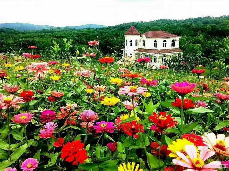 屯昌香山拓展文化�.jpg