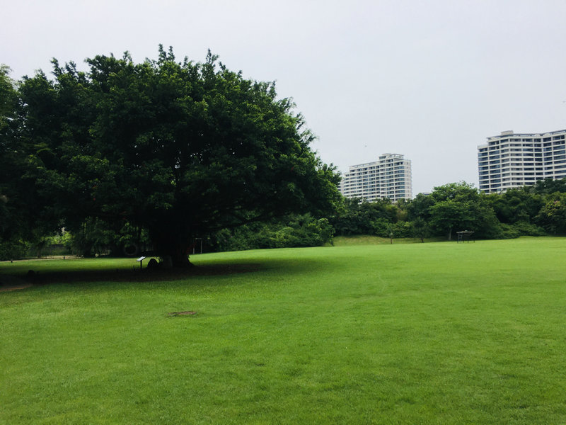 澄迈迎宾半岛1.jpg